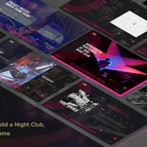 1040 night club dj, music festival wordpress theme
